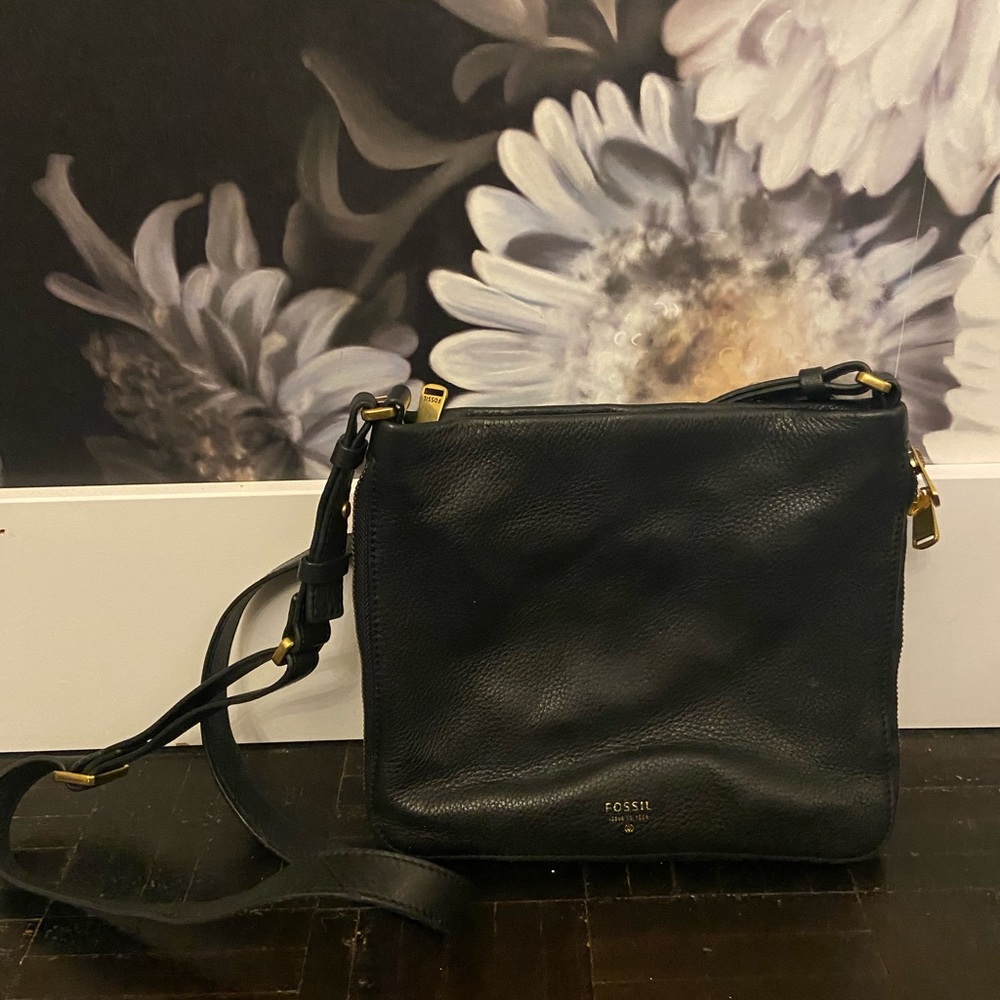 Fossil Crossbody Bag
